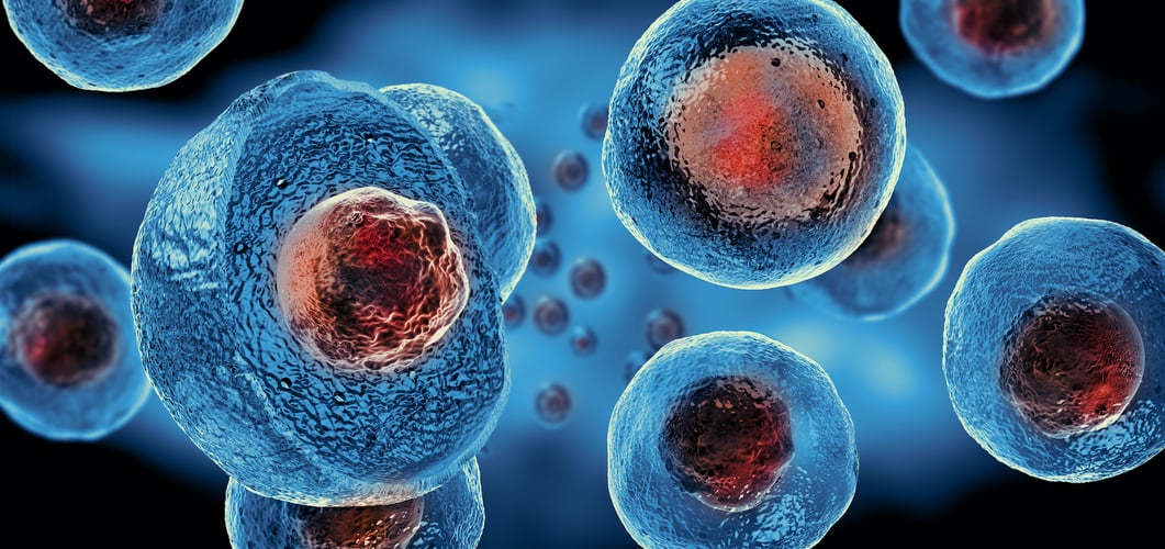 Doxycycline 200mg tablet | Shaanxi Bloom Tech Doxycycline 200mg tablet | Shaanxi Bloom Tech