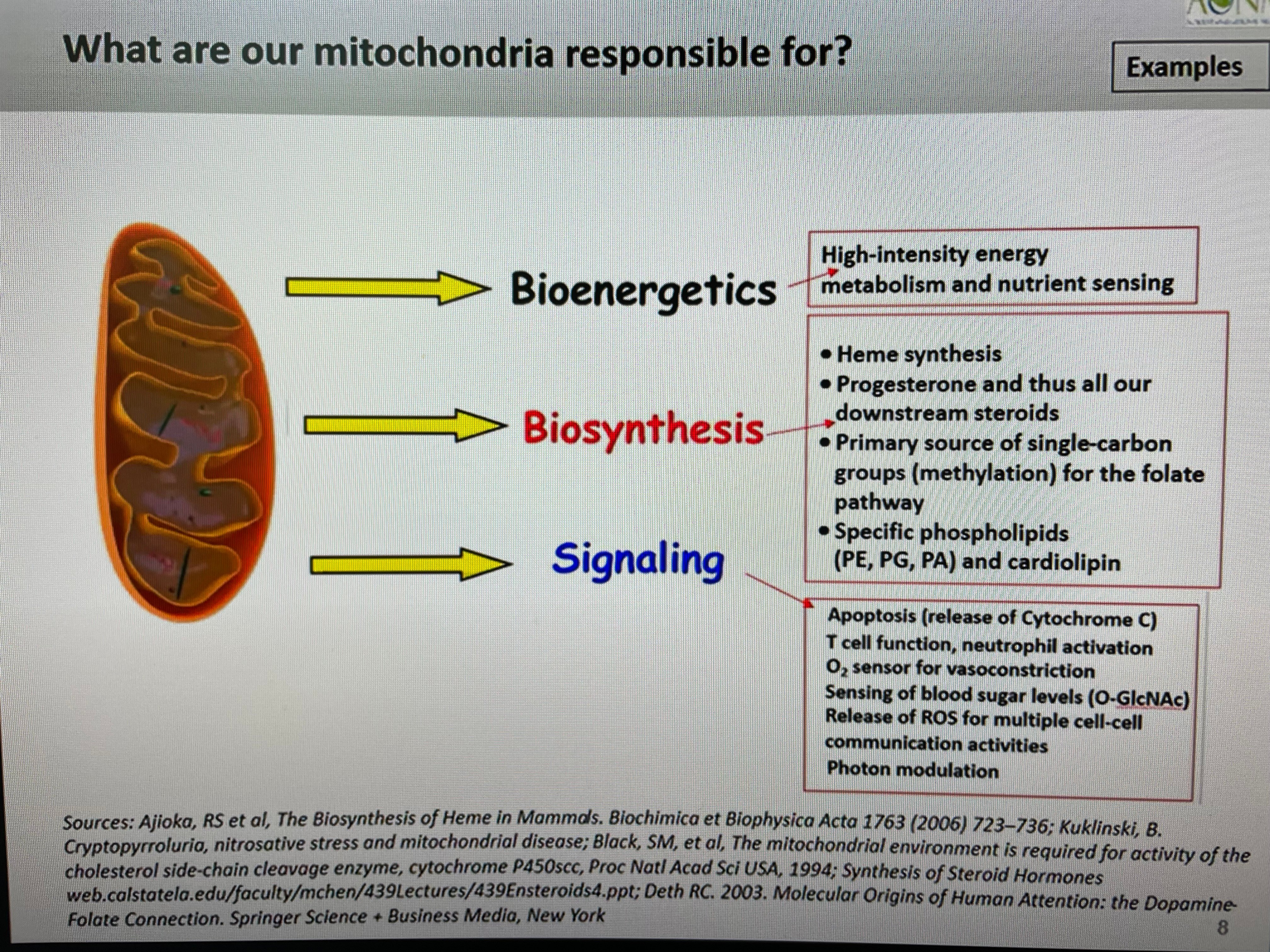 mitochondria