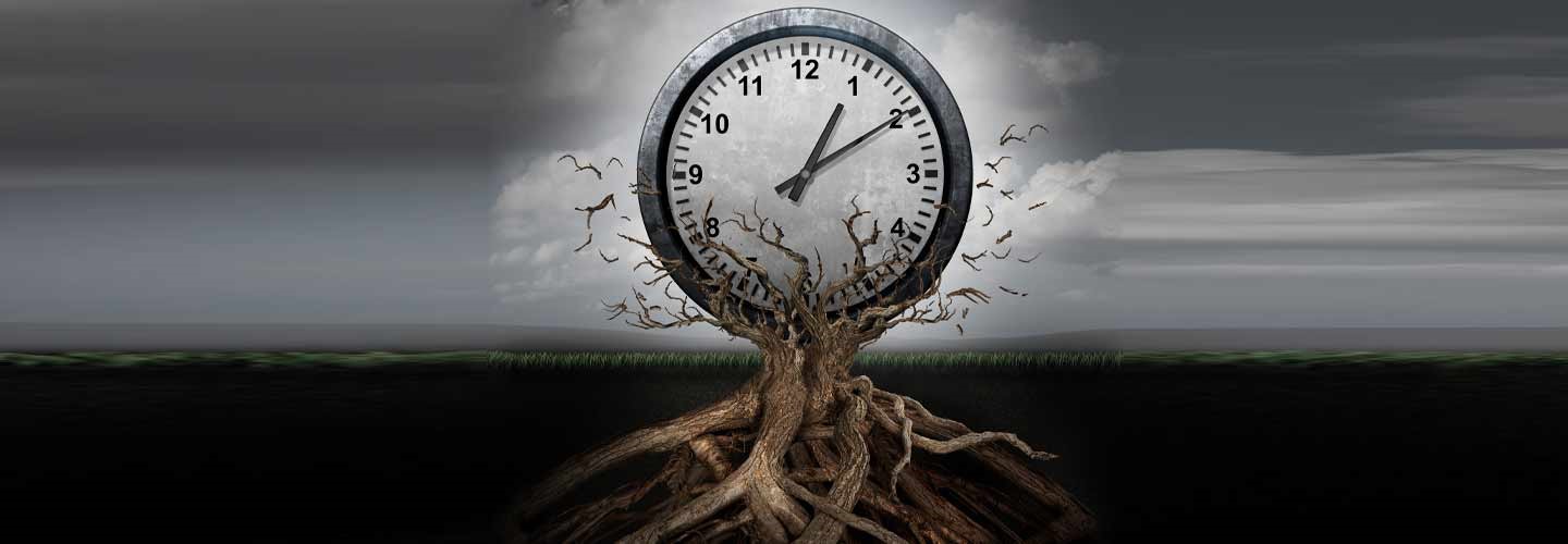 Tick Tock Tick Tock, Can You Reverse Your Biological Clock?