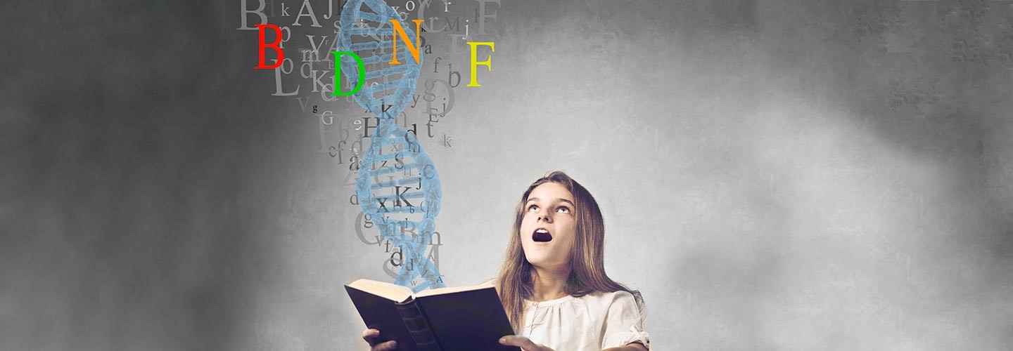 What is the BDNF Gene?