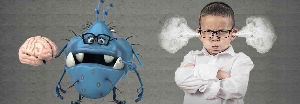 Your Mighty Moody Microbiome – Part 14 Distracted, Impulsive Gut Bugs Have ADHD