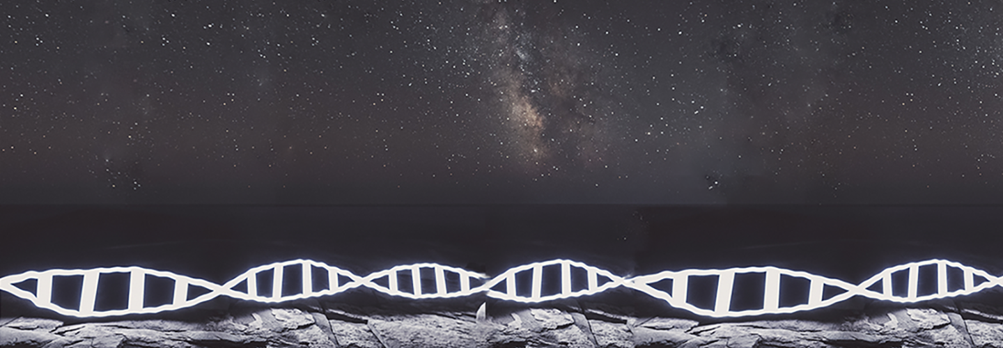 Our Majestic DNA: The Vast Universe Within Each of Your 37.2 Trillion Cells What is DNA and How Does It Work?
