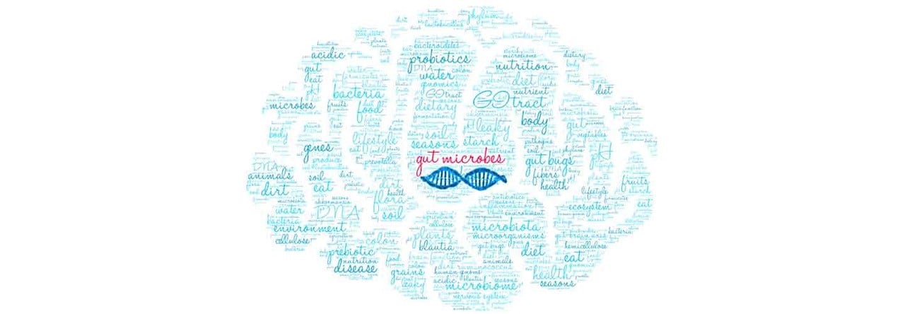 Your Mighty Moody Microbiome – Part 16 Gut Bugs Inflame Your Brain – a Genetic Test Guides Prevention