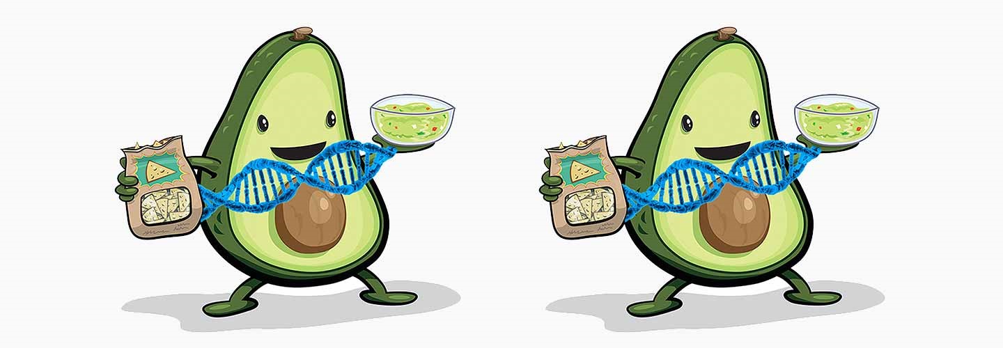 Holy Guacamole! The MTHFR Gene and the Avocado Shortage