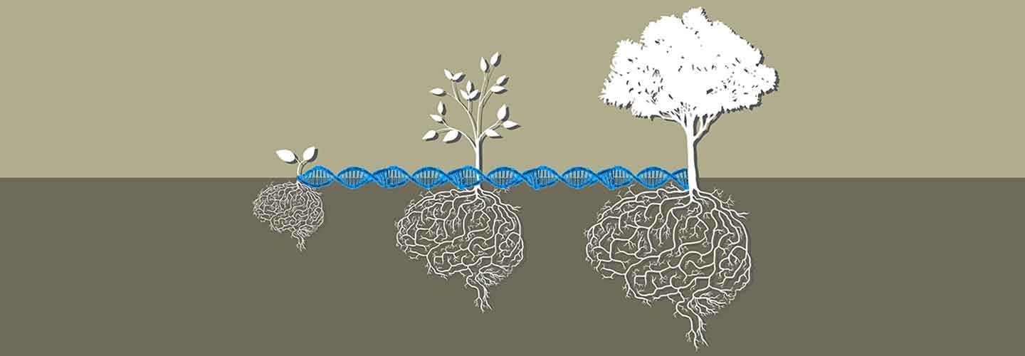 Treatment Resistance and the Biopsychosocial Model