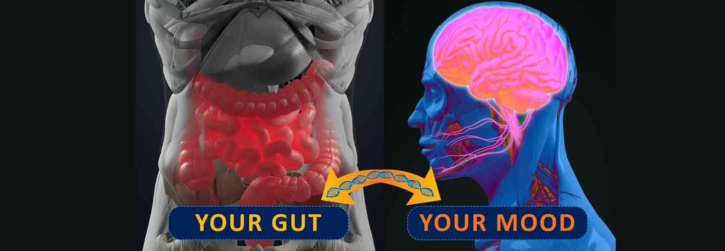 Your Mighty Moody Microbiome – Part 6 Leaky Gut ↔ Leaky Brain ↔ Leaky Emotions