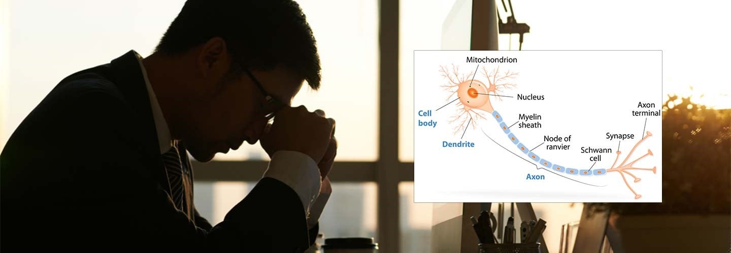 Mitochondria – The Brain’s “Power Plants” that Affect How You Feel and Function!