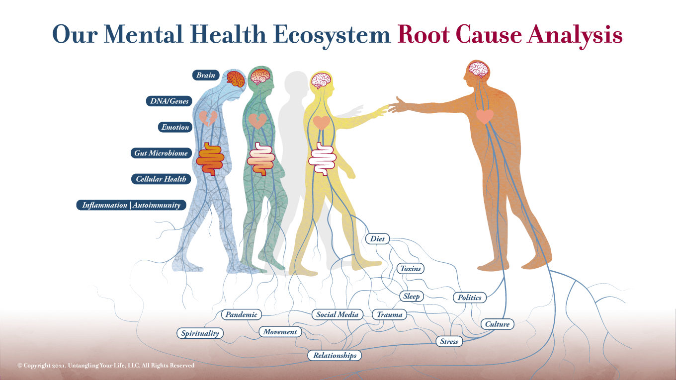 Root Cause Analysis for our Mental Health Ecosystem