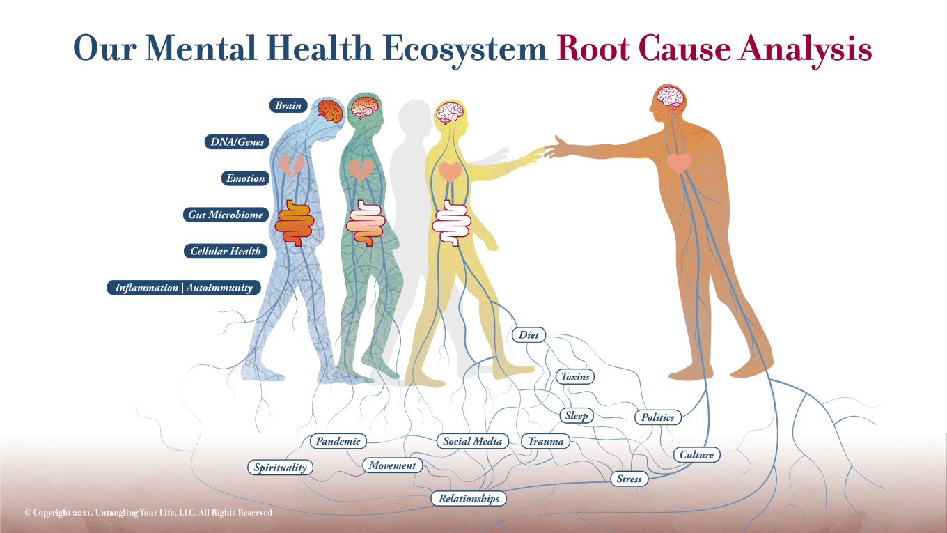 Unraveling the Mysteries of Resistant Anxiety and Depression: A Root Cause Psychiatry Success Story